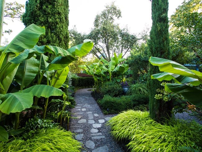 best tropical landscape design