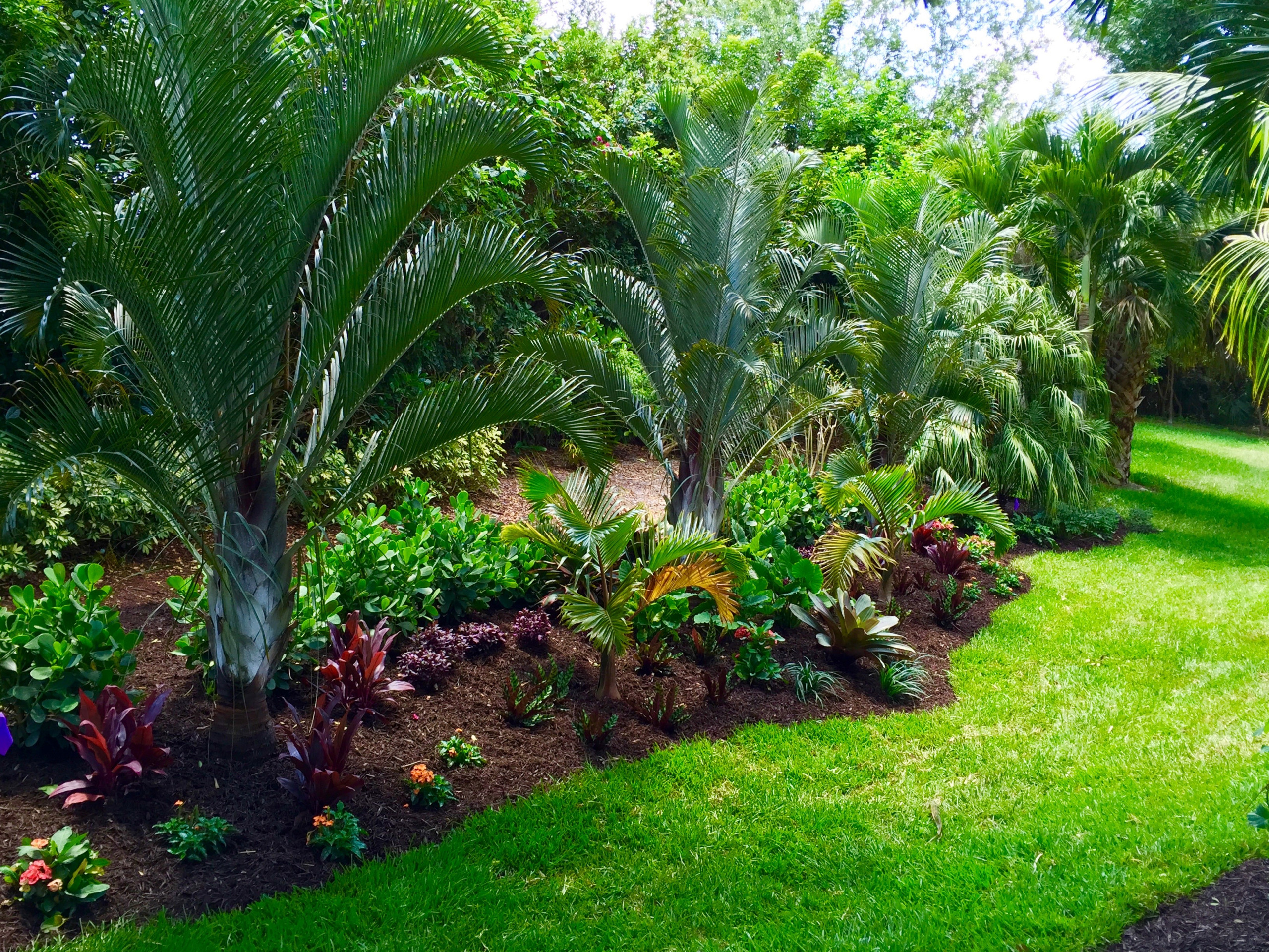 best tropical landscape design
