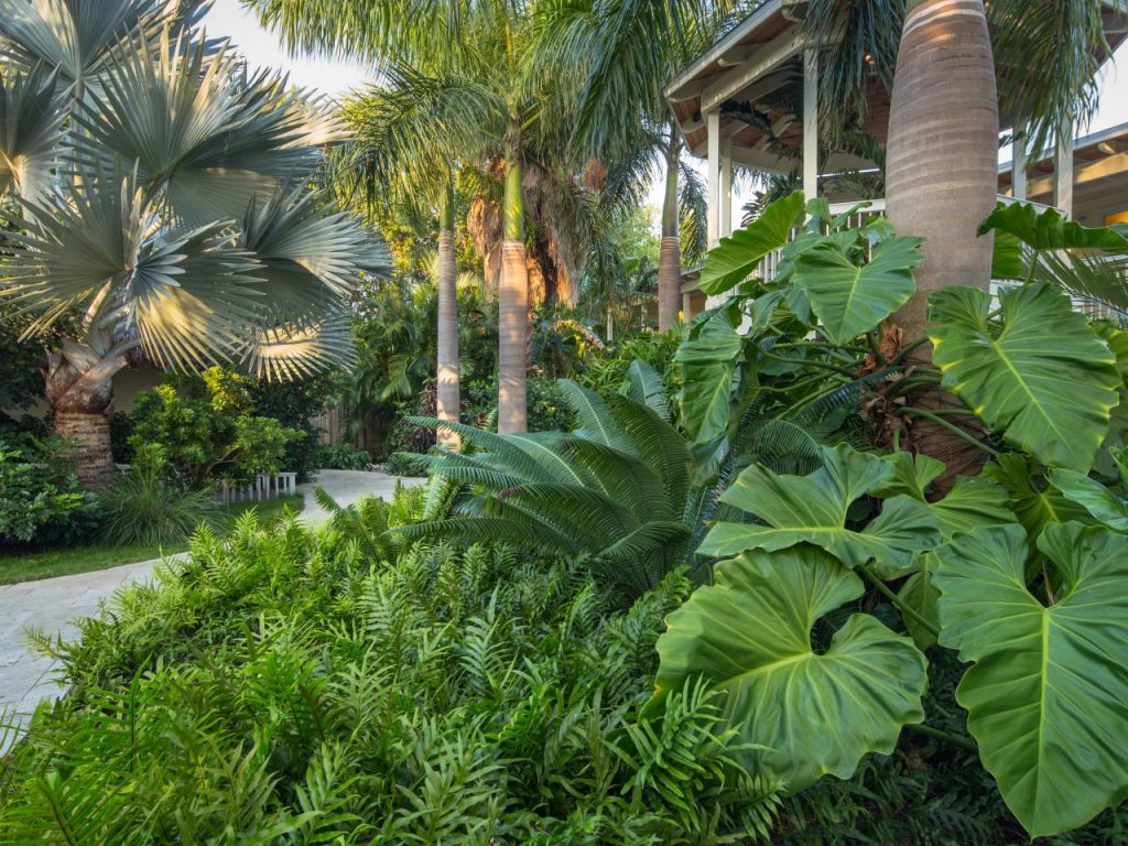 best tropical landscape design