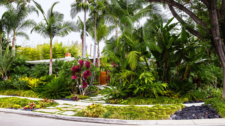 best tropical landscape design