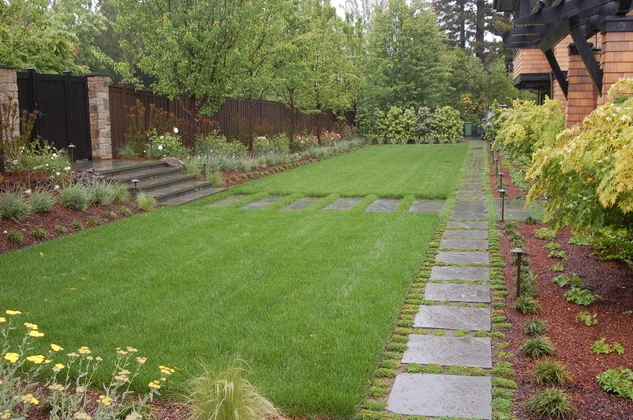 contemporary woodland garden