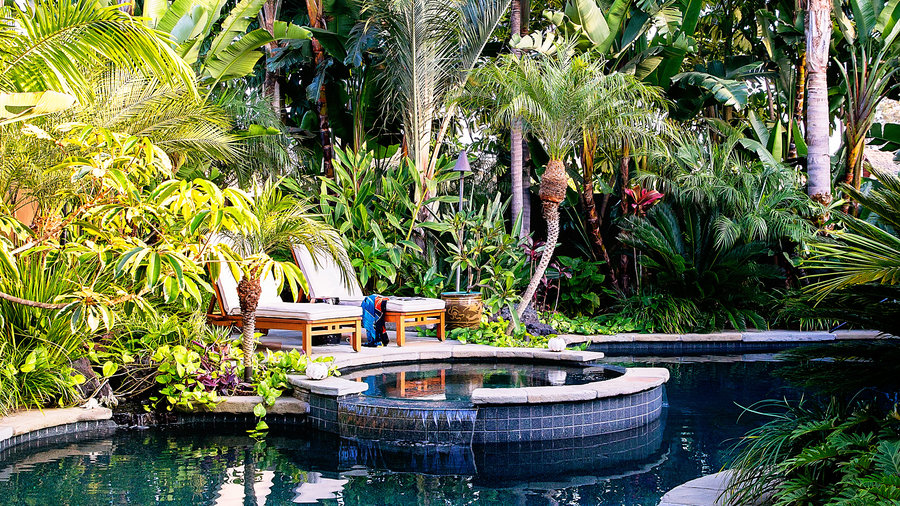 best tropical landscape design