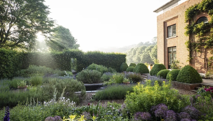 modern woodland garden