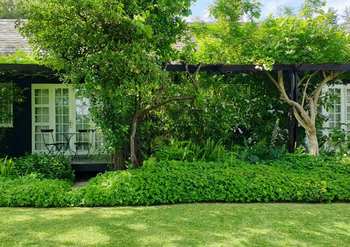 backyard woodland garden ideas
