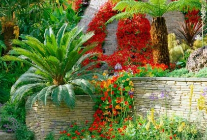 tropical gardens landscape