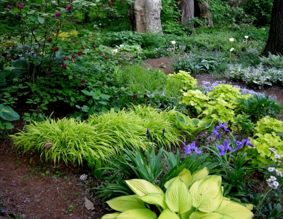 low maintenance woodland garden design