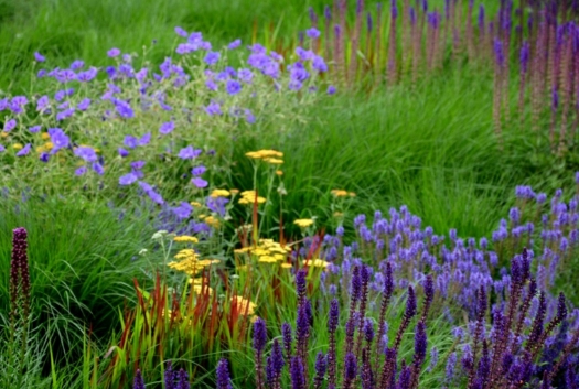 prairie garden design