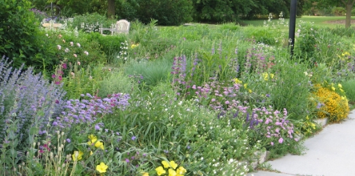 prairie landscape design