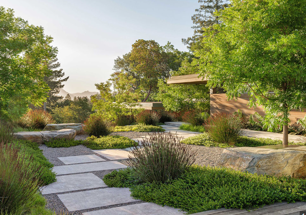 tropical landscape design front yard