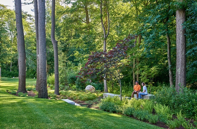 backyard woodland garden design