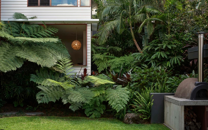 sub tropical garden design