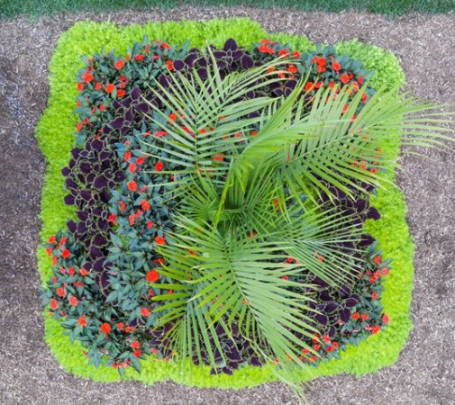 tropical garden layout plans