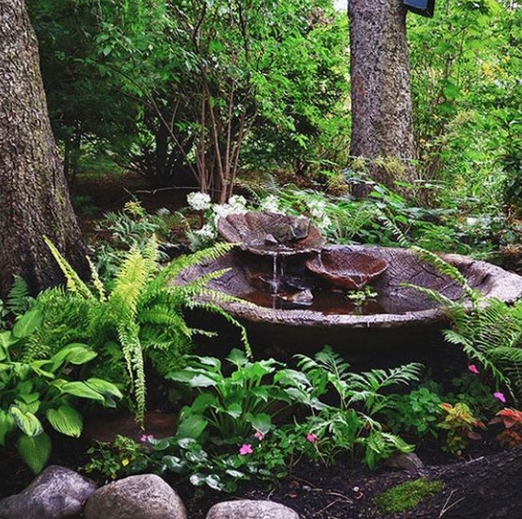 woodland garden ideas