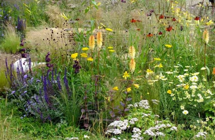 prairie style planting
