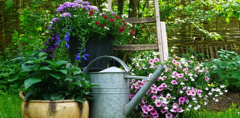unusual garden ornaments