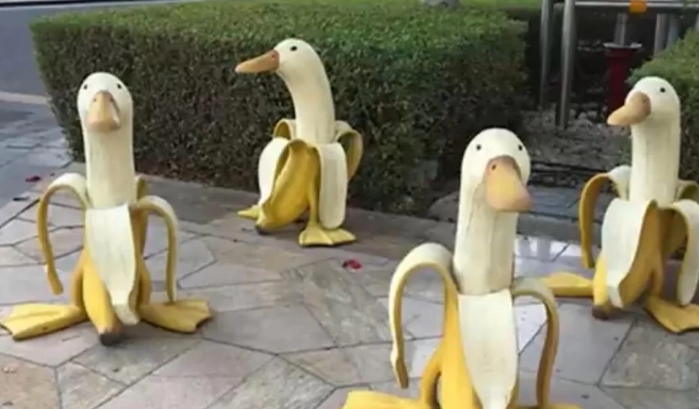 banana duck statue