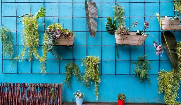 plant wall hanging