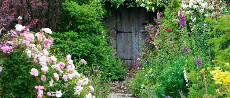How to Use Roses in a Cottage Garden