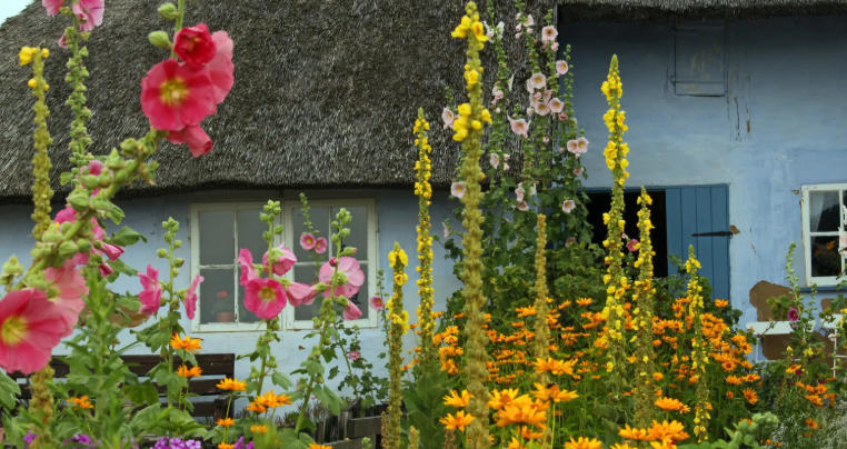 Cottage Garden Ideas with Traditional English Flowers