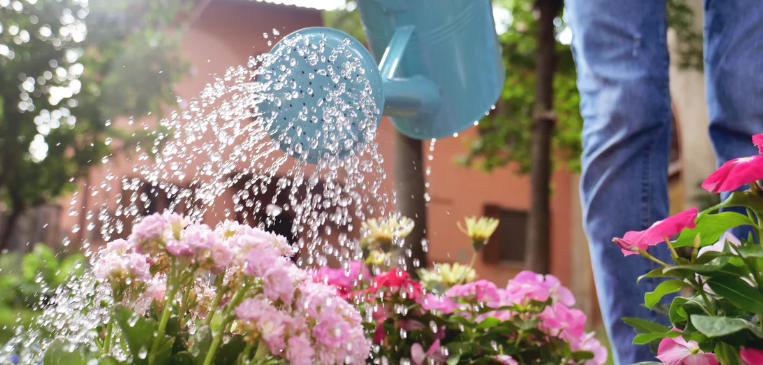 How to Add Watering Cans as Cottage Garden Decor