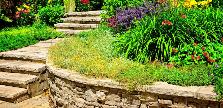Cottage Garden Ideas for Sloping Yards