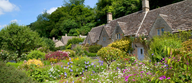 How to Achieve a Wild and Romantic Cottage Garden