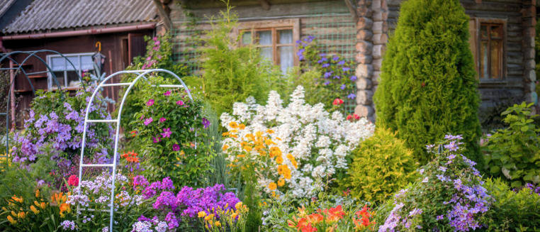 Best Flowers for an English Cottage Garden