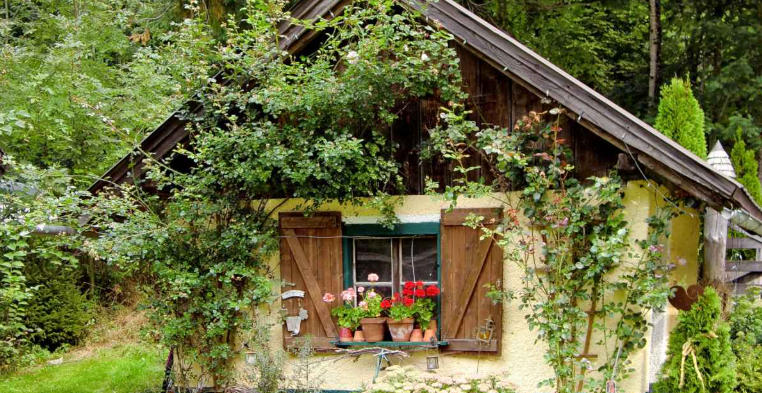 Cottage Garden Ideas Using Climbing Vines