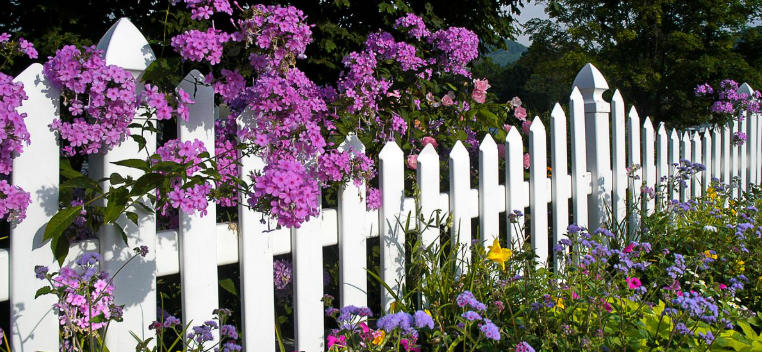 How to Use Picket Fences in Cottage Gardens