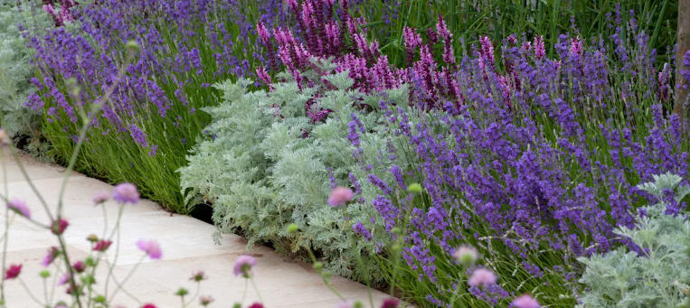 How to Style a Cottage Garden Entrance