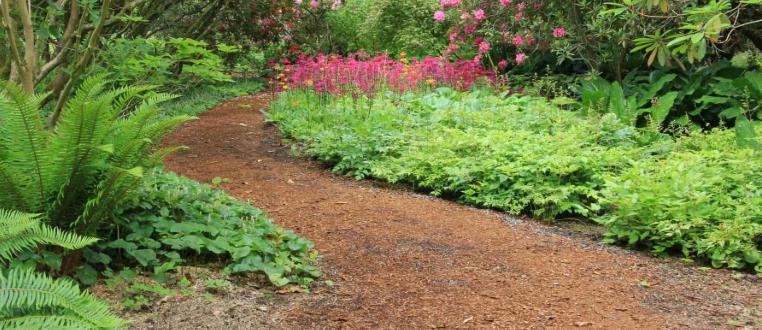 Cottage Garden Pathway Ideas
