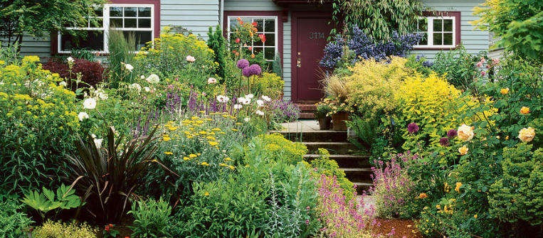 How to Mix Tall and Short Plants in Cottage Gardens