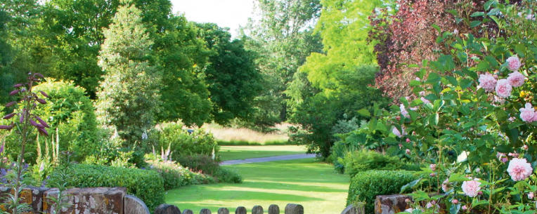 How to Create a Classic Cottage Garden Look