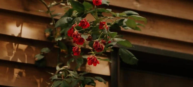 How to Add Charm to Your Cottage Garden