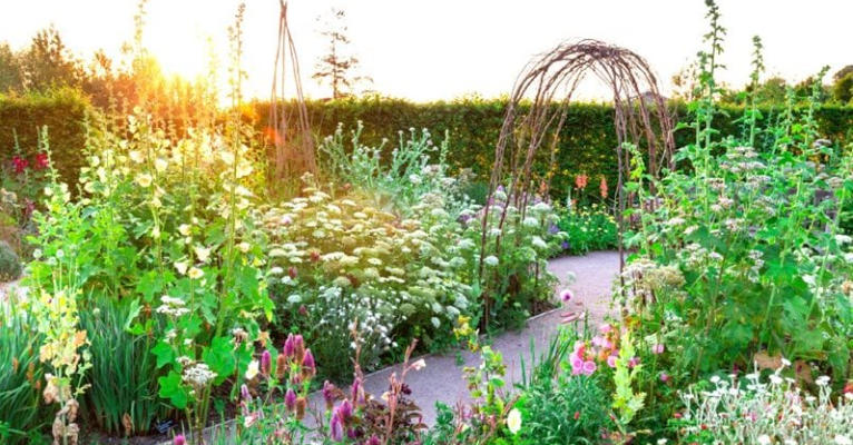 Essential Plants for a Cottage Garden