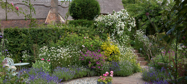 How to Use Lavender in Cottage Garden Design
