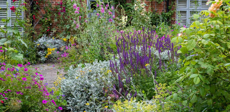 Cottage Garden Ideas for Beginners