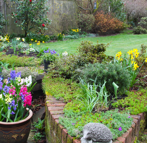 Cottage Garden Raised Bed Ideas