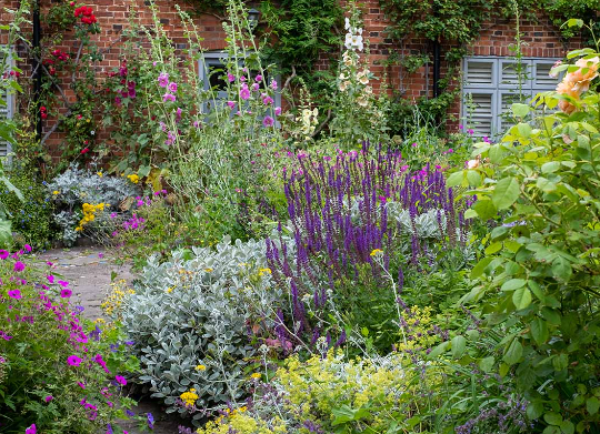 Cottage Garden Plant Combinations That Always Work