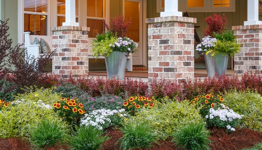 How to Mix Annuals and Perennials in Cottage Gardens