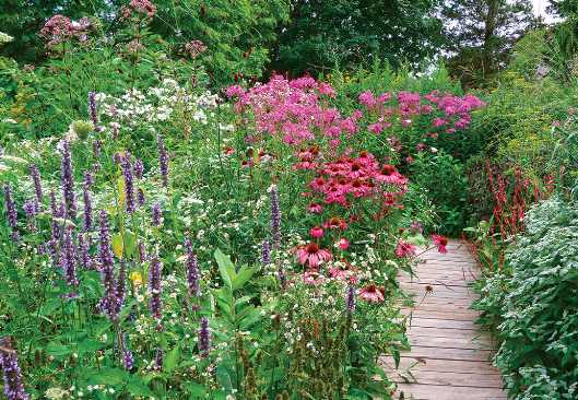 How to Design a Cottage Garden for Pollinators