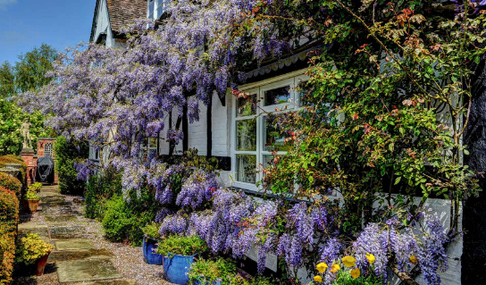 Cottage Garden Ideas with Flowing Flower Borders