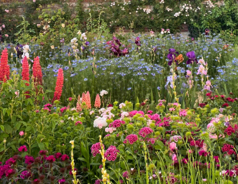 Cottage Garden Borders with Colorful Blooms
