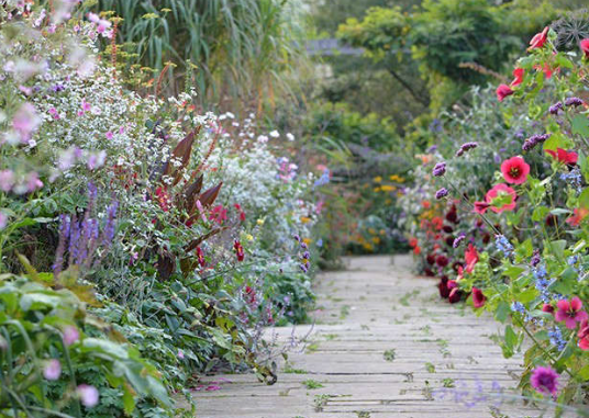 Cottage Garden Ideas with Naturalistic Planting