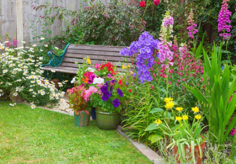 How to Create a Fragrant Cottage Garden