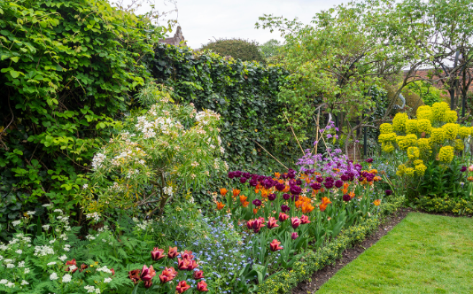 Cottage Garden Hedge Ideas