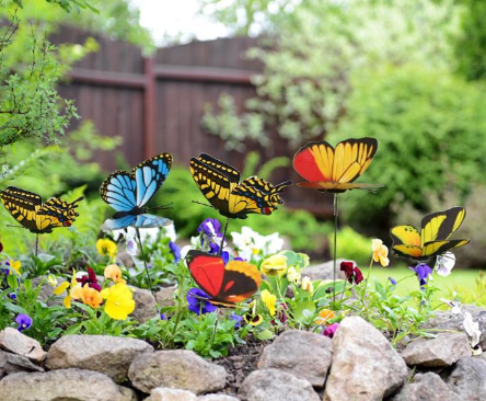 Colorful Butterfly Garden Ideas