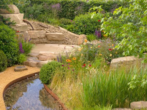 Creating a Wildlife Friendly Garden
