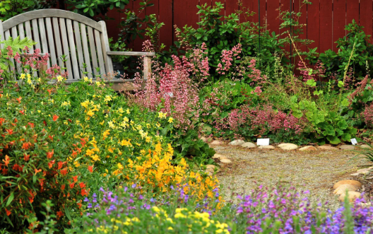 Bee Garden Plant Guide