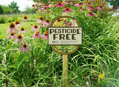 Pesticide Free Pollinator Gardens